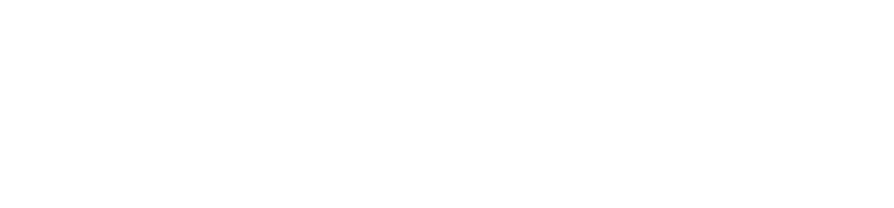 Logotipo de Noosphere en blanco
